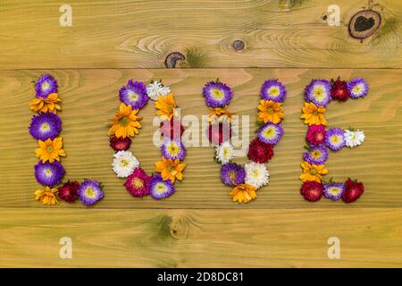 Bild von Wort Liebe aus schönen Blumen auf Holzhintergrund. Stockfoto