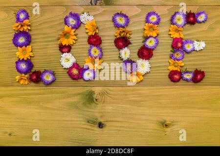 Bild von Wort Liebe aus schönen Blumen auf Holzhintergrund. Stockfoto