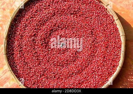 Rote Bohnen frisch getrocknet, auf Korbkörben, Draufsicht, lokal Stockfoto