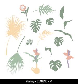 Set von Boho tropischen Haus Pflanzen, Zweige, Blumen und Blätter. Flache Vektorgrafik. Stock Vektor