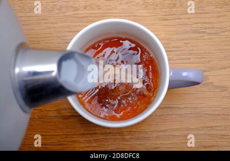 Eine Tasse Tee zubereiten, heißes Wasser über den Teebeutel in der Tasse gießen, norfolk, england Stockfoto