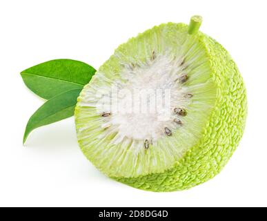 Geschnittene Osage-Orangen (Maclura) isoliert auf weißem Hintergrund. Hecke Apple aus nächster Nähe Stockfoto