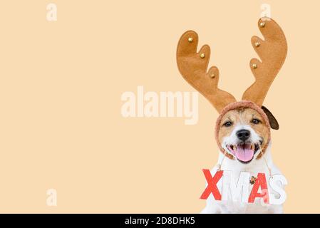 Weihnachtszeit Grußkarte mit Hund in Weihnachtskostüm halten WEIHNACHTEN Zeichen vor nahtlosem Hintergrund Stockfoto