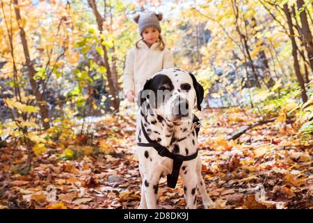 Mädchen mit Dalmatianer Hund in der Herbstsaison Stockfoto