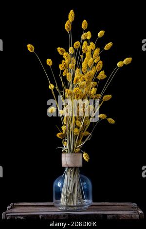 Stillleben von gelben getrockneten Blumen in einer Glasvase Auf einer Holzkiste vor schwarzem Hintergrund stehend Stockfoto