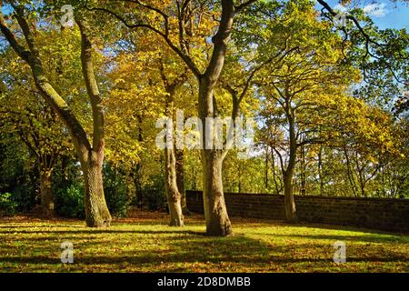Großbritannien, South Yorkshire, Barnsley, Locke Park im Herbst Stockfoto