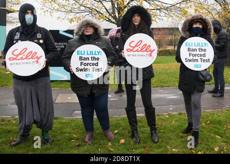 Bracknell, Großbritannien. 29. Oktober 2020. PETA-Unterstützer protestieren vor Eli Lillys Forschungs- und Entwicklungszentrum, um das US-Pharmaunternehmen aufzufordern, den erzwungenen Schwimmtest zu verbieten. Die Tierrechtsorganisation PETA UK behauptet, dass der erzwungene Schwimmtest, bei dem Kleintiere mit einem Antidepressivum dosiert, in unausweichliche Becher mit Wasser gefüllt und zum Schwimmen gezwungen werden, um sich vor dem Ertrinken zu bewahren, weitgehend diskreditiert wurde und dass andere Pharmaunternehmen wie Johnson & Johnson, GlaxoSmithKline, Pfizer, Bayer, Roche und AstraZeneca haben sie verboten. Kredit: Mark Kerrison/Alamy Live Nachrichten Stockfoto