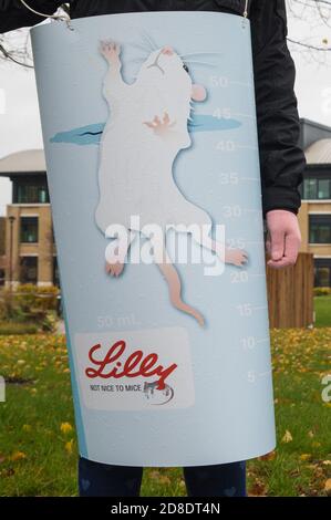 Bracknell, Großbritannien. 29. Oktober 2020. Ein PETA-Unterstützer, der ein Kostüm trägt, das einen Becher Wasser zeigt, in dem eine Maus kämpft, um über Wasser zu bleiben, protestiert vor Eli Lillys Forschungs- und Entwicklungszentrum, um das US-Pharmaunternehmen aufzufordern, den erzwungenen Schwimmtest zu verbieten. Die Tierrechtsorganisation PETA UK behauptet, dass der erzwungene Schwimmtest, bei dem Kleintiere mit einem Antidepressivum dosiert, in unausweichliche Becher mit Wasser gefüllt und zum Schwimmen gezwungen werden, um sich vor dem Ertrinken zu bewahren, weitgehend diskreditiert wurde und dass andere Pharmaunternehmen wie Johnson & Johnson, GlaxoSmithKline, Pfizer, Bayer Stockfoto