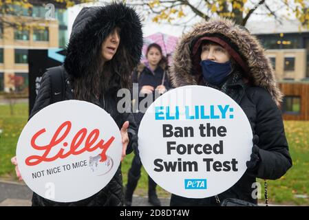 Bracknell, Großbritannien. 29. Oktober 2020. PETA-Unterstützer protestieren vor Eli Lillys Forschungs- und Entwicklungszentrum, um das US-Pharmaunternehmen aufzufordern, den erzwungenen Schwimmtest zu verbieten. Die Tierrechtsorganisation PETA UK behauptet, dass der erzwungene Schwimmtest, bei dem Kleintiere mit einem Antidepressivum dosiert, in unausweichliche Becher mit Wasser gefüllt und zum Schwimmen gezwungen werden, um sich vor dem Ertrinken zu bewahren, weitgehend diskreditiert wurde und dass andere Pharmaunternehmen wie Johnson & Johnson, GlaxoSmithKline, Pfizer, Bayer, Roche und AstraZeneca haben sie verboten. Kredit: Mark Kerrison/Alamy Live Nachrichten Stockfoto