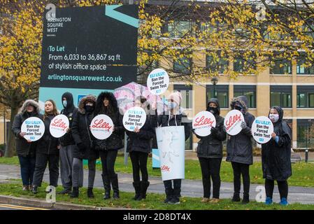 Bracknell, Großbritannien. 29. Oktober 2020. PETA-Anhänger, darunter eine mit einem Kostüm, das einen Becher Wasser zeigt, in dem eine Maus kämpft, um über Wasser zu bleiben, protestieren vor Eli Lillys Forschungs- und Entwicklungszentrum, um das US-Pharmaunternehmen aufzufordern, den erzwungenen Schwimmtest zu verbieten. Die Tierrechtsorganisation PETA UK behauptet, dass der erzwungene Schwimmtest, bei dem Kleintiere mit einem Antidepressivum dosiert, in unausweichliche Becher mit Wasser gefüllt und zum Schwimmen gezwungen werden, um sich vor dem Ertrinken zu bewahren, weitgehend diskreditiert wurde und dass andere Pharmaunternehmen wie Johnson & Johnson, GlaxoSmithKline, Stockfoto