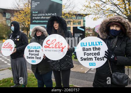 Bracknell, Großbritannien. 29. Oktober 2020. PETA-Unterstützer protestieren vor Eli Lillys Forschungs- und Entwicklungszentrum, um das US-Pharmaunternehmen aufzufordern, den erzwungenen Schwimmtest zu verbieten. Die Tierrechtsorganisation PETA UK behauptet, dass der erzwungene Schwimmtest, bei dem Kleintiere mit einem Antidepressivum dosiert, in unausweichliche Becher mit Wasser gefüllt und zum Schwimmen gezwungen werden, um sich vor dem Ertrinken zu bewahren, weitgehend diskreditiert wurde und dass andere Pharmaunternehmen wie Johnson & Johnson, GlaxoSmithKline, Pfizer, Bayer, Roche und AstraZeneca haben sie verboten. Kredit: Mark Kerrison/Alamy Live Nachrichten Stockfoto