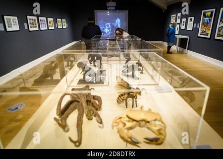 Do 29. Oktober 2020. Edinburgh, Großbritannien. Besucher der Ausstellung ‘Ray Harryhausen: Titan of Cinema’ in der Scottish National Gallery of Modern Art. Dies ist die erste neue Ausstellung, die nach ihrer fünfmonatigen Schließung während der COVID-19-Pandemie in den National Galleries of Scotland eröffnet wurde. Die Ausstellung ist zu sehen von Sa 24 Okt 2020 - so 5 Sep 2021. Ray Harryhausen war ein bahnbrechender Spezialeffekte- und Animationskünstler, der in den 1950er Jahren in Hollywood seine Arbeit begann. Zu seinen Arbeiten gehörten die Filme Jason und die Argonauten, die Sinbad-Filme und One Million Years B.C. und Mighty Joe Young. Stockfoto