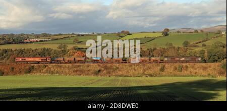 Zwei DRS Diesel Lokomotiven auf einem „Leaf Buster“ Zug, der an einem sonnigen Herbstnachmittag zwischen Cumwhinton und Cotehill in der Landschaft Cumbrias fährt. Stockfoto