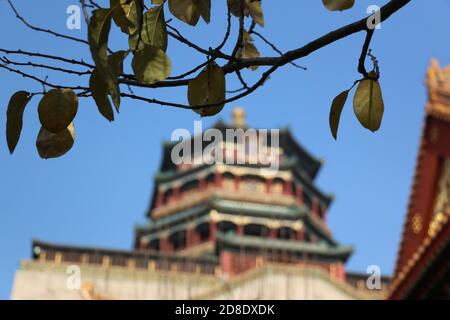 Fokus auf Zweig mit Blättern mit Pagode auf Longevity Hill im Sommerpalast, Peking, im Hintergrund Stockfoto