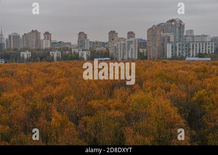 Moskau, Russland. Okt. 2020. Das Foto vom 29. Oktober 2020 zeigt eine Ansicht von Moskau, Russland, am 29. Oktober 2020. Quelle: Evgeny Sinitsyn/Xinhua/Alamy Live News Stockfoto