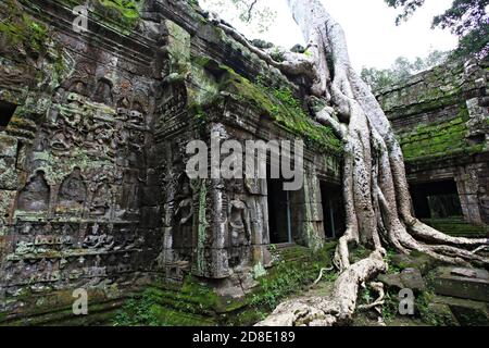 TA Promh Tempel, Angkor Gegend, Siem Reap, Kambodscha Stockfoto