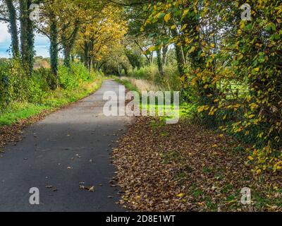 Bilton Lane öffentlicher Fußweg und Beryl Burton Cycleway, der zu führt Knaresborough in der Nähe von Old Bilton Harrogate North Yorkshire England Stockfoto