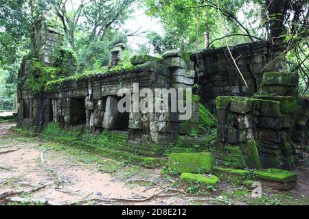 TA Promh Tempel, Angkor Gegend, Siem Reap, Kambodscha Stockfoto