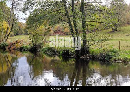 Eine ruhige und friedliche Landschaft an einem Bach nahe Freitag Straße in den Surrey Hills an einem Herbsttag England VEREINIGTES KÖNIGREICH Stockfoto