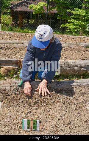 Garfield Gedächtniskirche freiwillige Pflanzen Kuh Garten bei Hiram Haus Camp-wheel Barrel/Tools Stockfoto