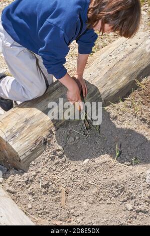 Garfield Gedächtniskirche freiwillige Pflanzen Kuh Garten bei Hiram Haus Camp-wheel Barrel/Tools Stockfoto