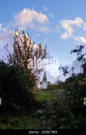 Das Monument am Farley Mount, Hampshire, England, schaute auf einen gewundenen Pfad, der zu ihm führte. Verschwommenes Blattwerk im Vordergrund. Stockfoto