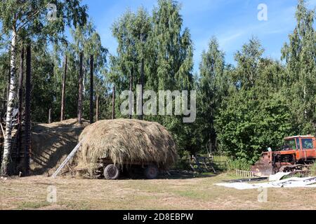 Heuhaufen ist auf hölzernen Wagen und gebrochenen rostigen Traktor Fahrzeug Sind auf dem ländlichen Hinterhof im Sommerwald Stockfoto