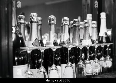 Bunte Champagner-Flaschen in einer Reihe an der Bar mit Gläsern, Party-Feier-Konzept in schwarz-weiß Stockfoto