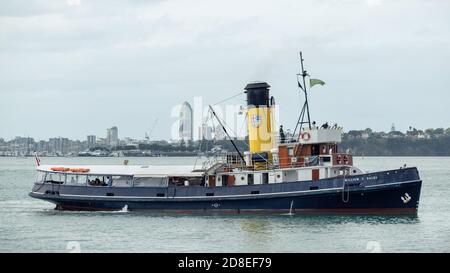 AUCKLAND, NEUSEELAND - 21. Okt 2019: Blick auf William C Daldy historischen Dampflok Schlepper im Waitemata Hafen Stockfoto