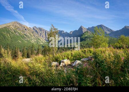 Gasienicowa Tal im September. Tatra Mountains. Polen. Stockfoto