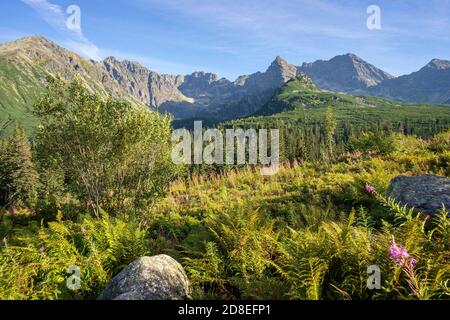 Gasienicowa Tal im September. Tatra Mountains. Polen. Stockfoto