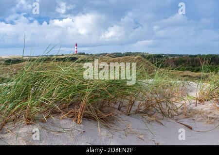 Küstenlandschaft auf der Insel Amrum, Deutschland. Im Hintergrund der Leuchtturm von Amrum. Amrum ist eine der Nordfriesischen Inseln an der deutschen Nordsee c Stockfoto