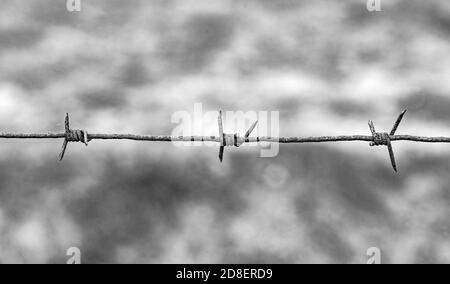 Stacheldraht hautnah. Stockfoto