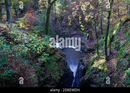 Blick von oben auf den Aira Force Wasserfall im Herbst, nahe Ullswater, Lake District, Cumbria, England, UK Stockfoto