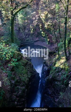 Blick von oben auf den Aira Force Wasserfall im Herbst, nahe Ullswater, Lake District, Cumbria, England, UK Stockfoto