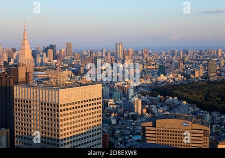 Der Blick auf das Stadtbild von Tokio mit dem KDDI Building (Vordergrund) NTT Docomo Yoyogi Building und Yoyogi Park in der Mitte Vom südlichen Observatorium des Tokyo Metropolitan Government Building.Shinjuku.Tokyo.Japan Stockfoto