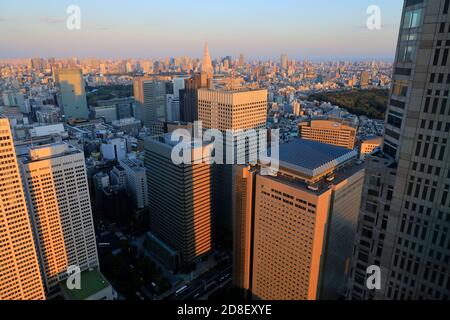 Stadtbild von Tokio mit Wolkenkratzern in Shinjuku im Vordergrund Tokyo Metropolitan Government Building.Shinjuku.Tokyo.Japan Stockfoto