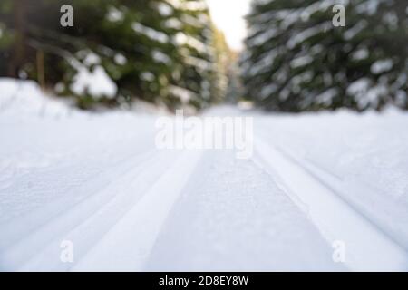 Schnee Laufstrecke im Winterwald, Sport Stockfoto