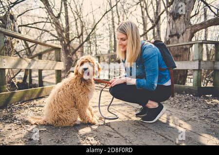 Happy Labradoodle Hund und Frau draußen im Park Stockfoto