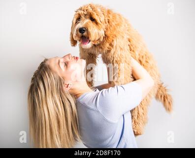 Frau mit seinem Golden Labradoodle Hund isoliert auf weißem Hintergrund Stockfoto