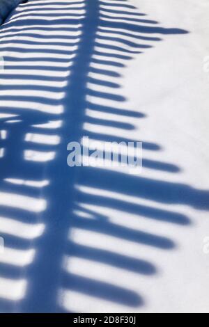 Streikenzaun wirft Schatten und Muster auf Neuschnee; Salida; Colorado; USA Stockfoto
