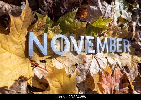 Das Wort november lag mit Metallbuchstaben über dem gelben Herbst Gefallene Blätter - Nahaufnahme mit selektivem Fokus Stockfoto