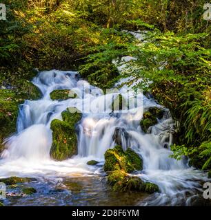 Ein kleiner Wasserfall in einem Fluss in Fana, Bergen Stockfoto