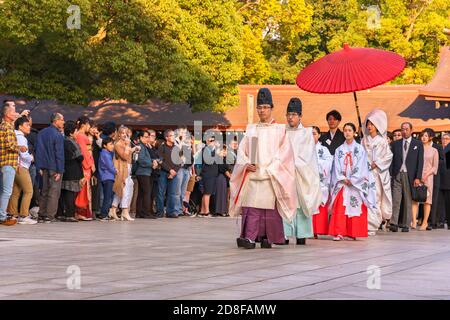 tokio, japan - oktober 10 2019: Menschenmassen fotografieren eine traditionelle japanische Hochzeit, bei der Priester mit Eboshi-Hüten und junge Miko-Jungfrauen bri anführen Stockfoto