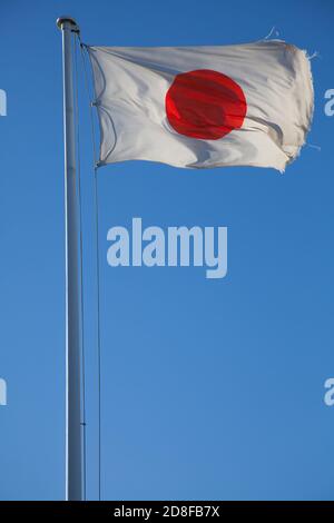 Eine japanische Flagge, die auf einem Fahnenmast gegen den blauen Himmel fliegt. Tokio, Japan Stockfoto