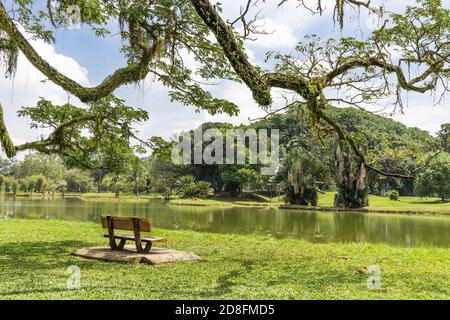 Taiping Lake Gardens ist der erste öffentliche Garten, der während der britischen Herrschaft in Malaysia gegründet wurde. Stockfoto