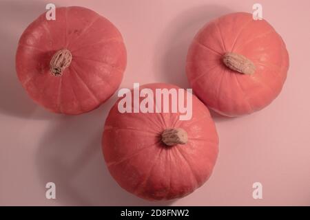 Drei runde rosa Pastellfarben Kürbisse Draufsicht Foto Stockfoto