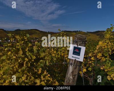 Durbach, Baden-Württemberg, Deutschland - 10/26/2020: Wandermarkierung auf Wanderwegen, die im Herbst durch die Weinberge von Durbach führen. Stockfoto