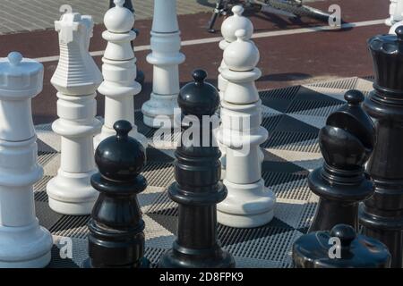 Großes Schach auf dem Schachbrett im Park auf der Straße. Nahaufnahme, selektiver Fokus. Stockfoto