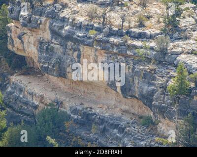 Sonniger Blick auf das Walnut Canyon National Monument in Arizona Stockfoto